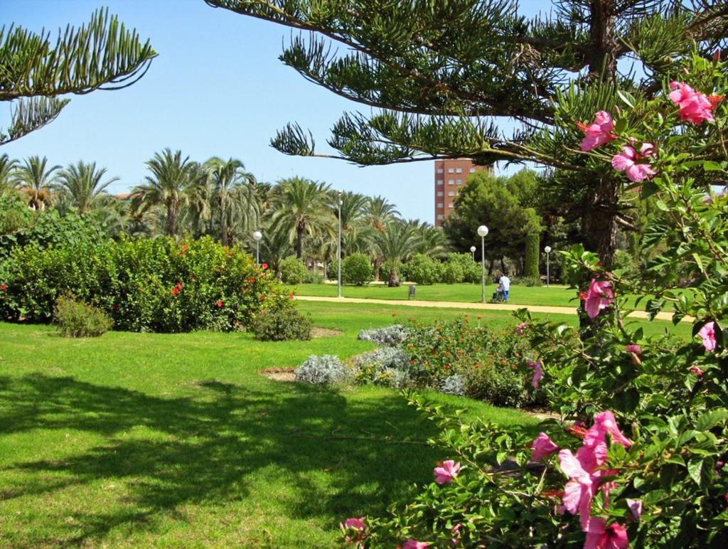 Appartamento 30-3- Бюджетная Комната В Квартире Для 2 Человека, Alicante Esterno foto